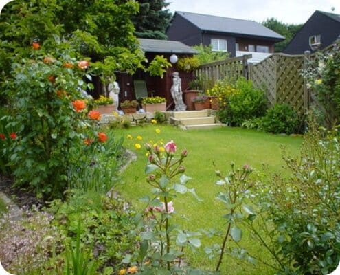 Garten im Sommer mit viele Pflanzen